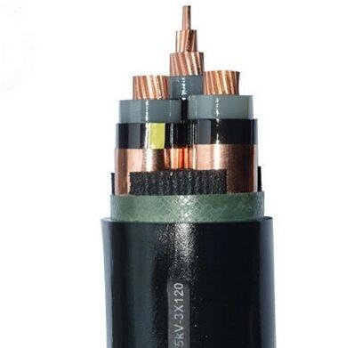 ����max(�й���)���޹�˾����