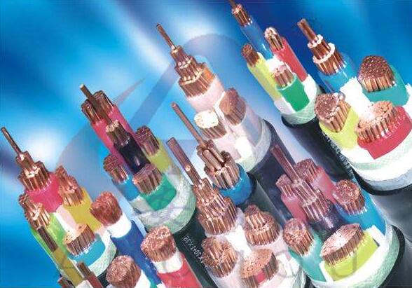 ����max(�й���)���޹�˾����