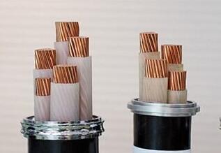 ����max(�й���)���޹�˾����