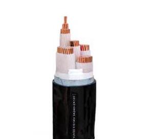 ����max(�й���)���޹�˾����