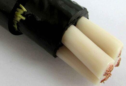 狗万·max(中国游)有限公司官网