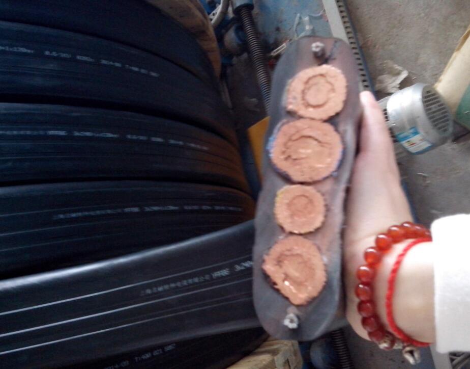 ����max(�й���)���޹�˾����