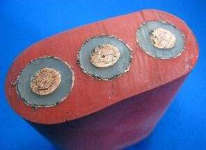 ����max(�й���)���޹�˾����