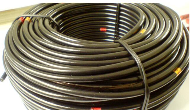 ����max(�й���)���޹�˾����