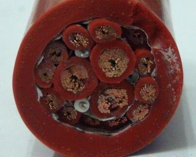 狗万·max(中国游)有限公司官网