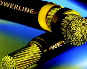 狗万·max(中国游)有限公司官网