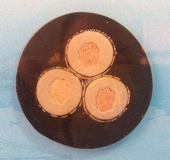 狗万·max(中国游)有限公司官网