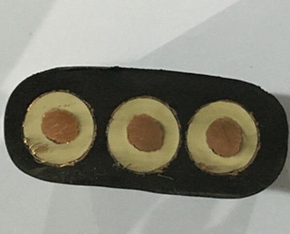 ����max(�й���)���޹�˾����