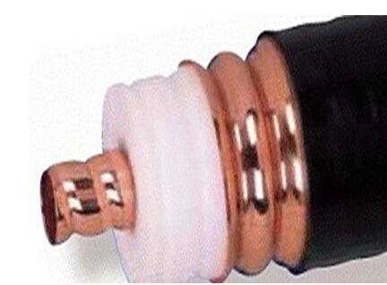 ����max(�й���)���޹�˾����