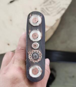 狗万·max(中国游)有限公司官网