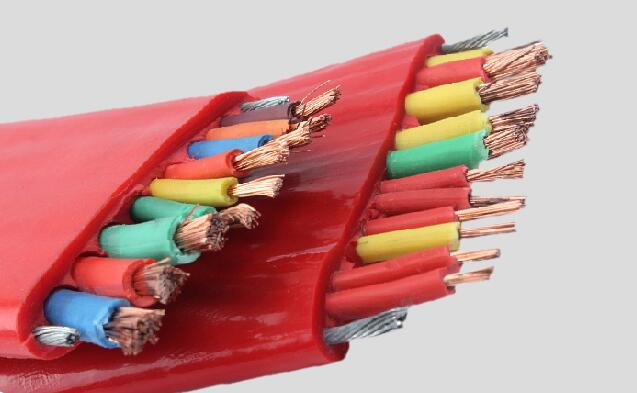 ����max(�й���)���޹�˾����