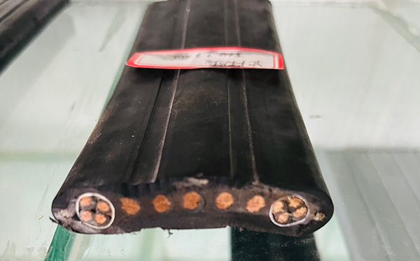 ����max(�й���)���޹�˾����