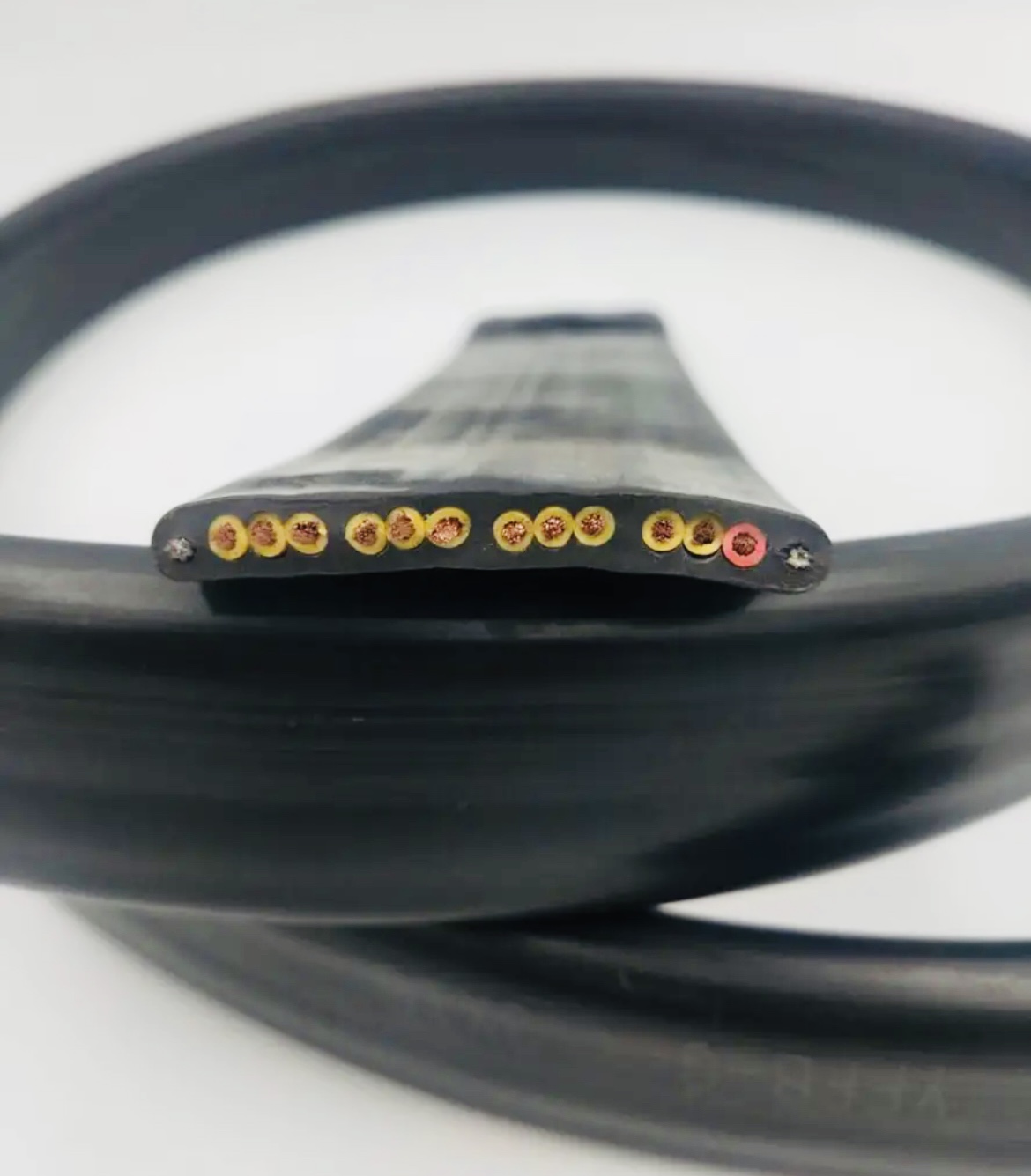 ����max(�й���)���޹�˾����