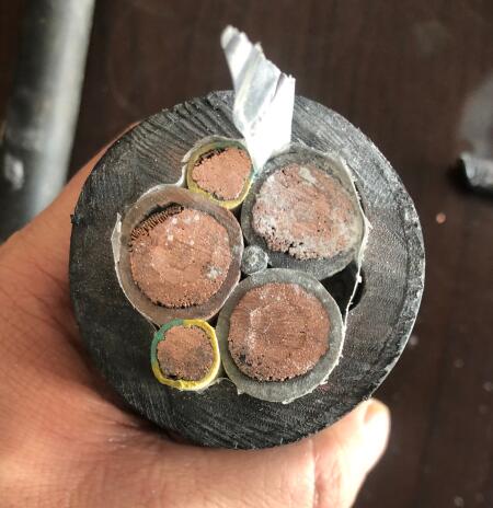 狗万·max(中国游)有限公司官网