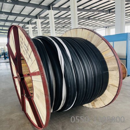 ����max(�й���)���޹�˾����