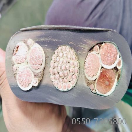 ����max(�й���)���޹�˾����