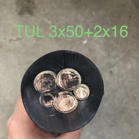 ����max(�й���)���޹�˾����