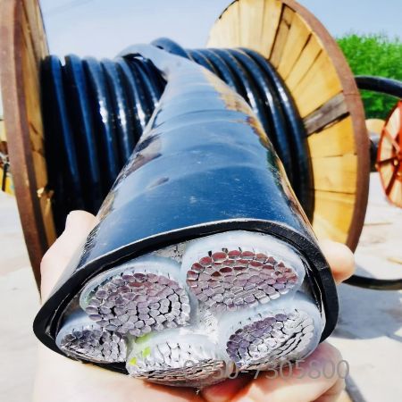 狗万·max(中国游)有限公司官网