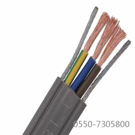 ����max(�й���)���޹�˾����