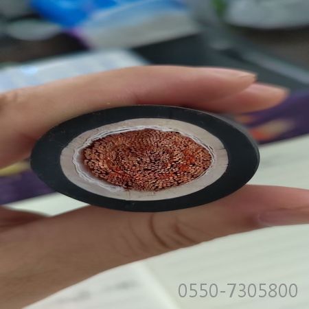 ����max(�й���)���޹�˾����