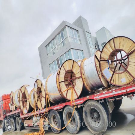 ����max(�й���)���޹�˾����