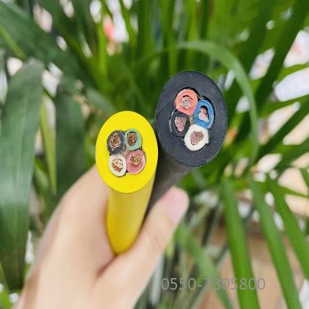 ����max(�й���)���޹�˾����