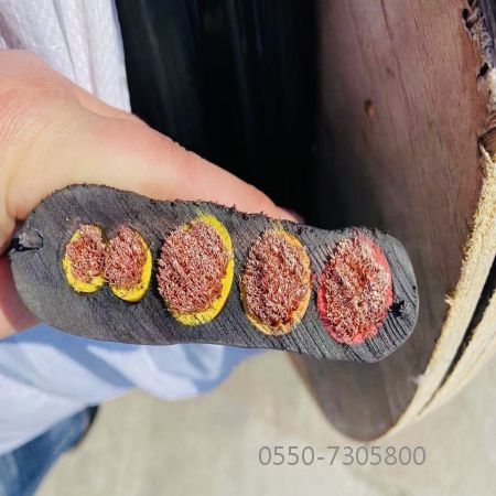 ����max(�й���)���޹�˾����