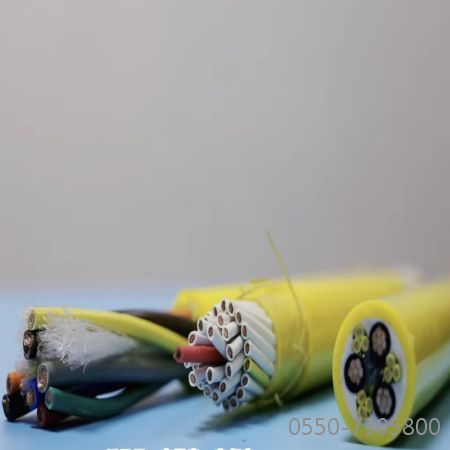 ����max(�й���)���޹�˾����