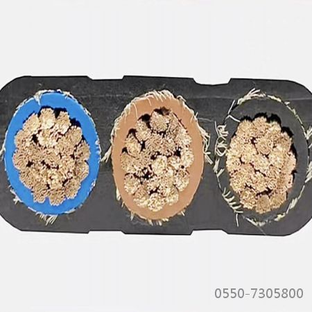 ����max(�й���)���޹�˾����