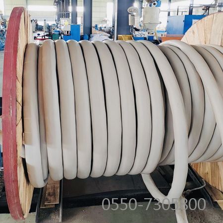 ����max(�й���)���޹�˾����