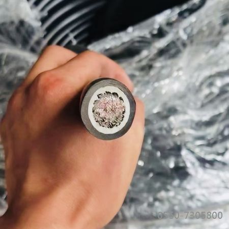 ����max(�й���)���޹�˾����