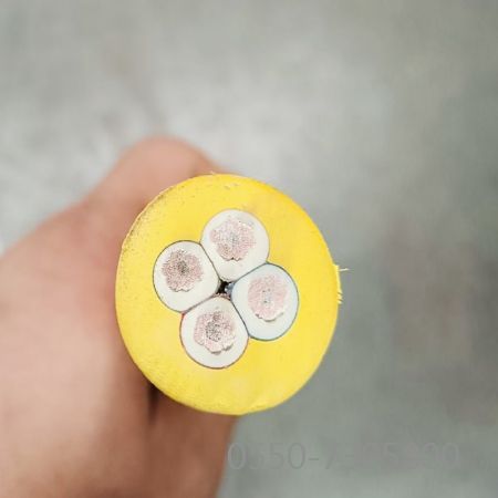 狗万·max(中国游)有限公司官网