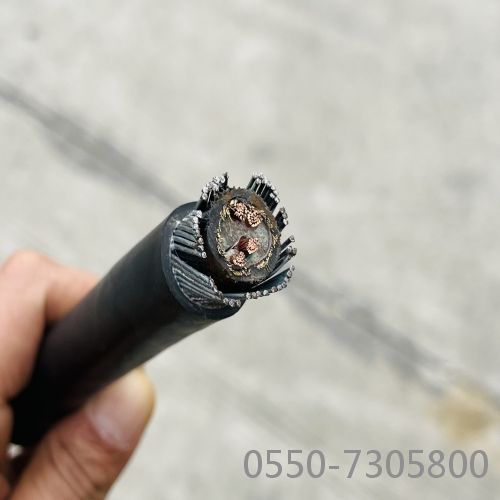 ����max(�й���)���޹�˾����