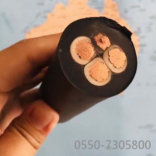 ����max(�й���)���޹�˾����