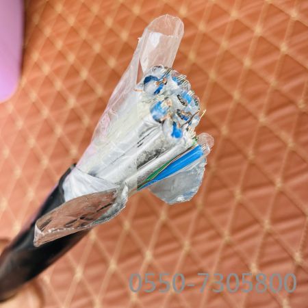 狗万·max(中国游)有限公司官网