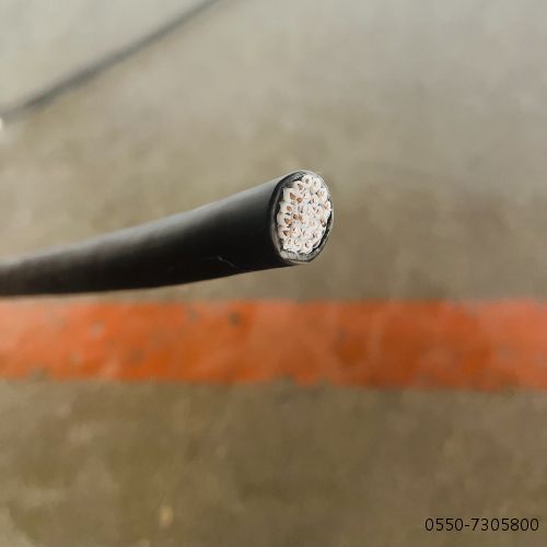 ����max(�й���)���޹�˾����