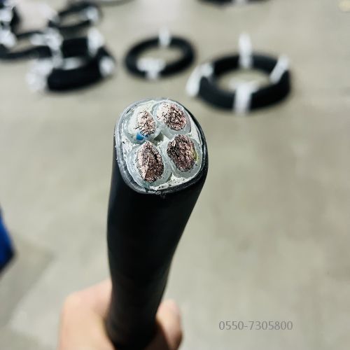 ����max(�й���)���޹�˾����