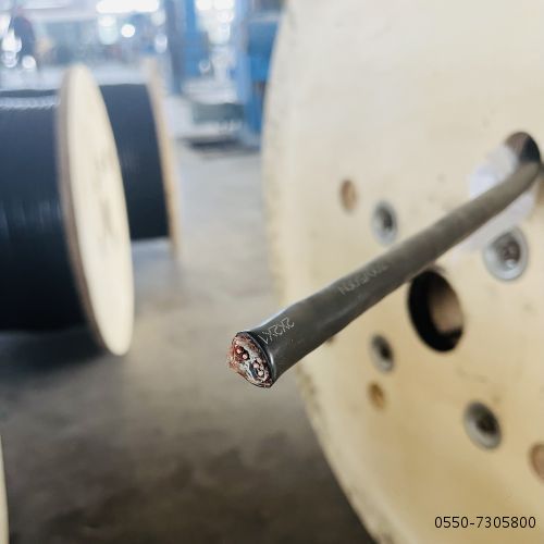 ����max(�й���)���޹�˾����