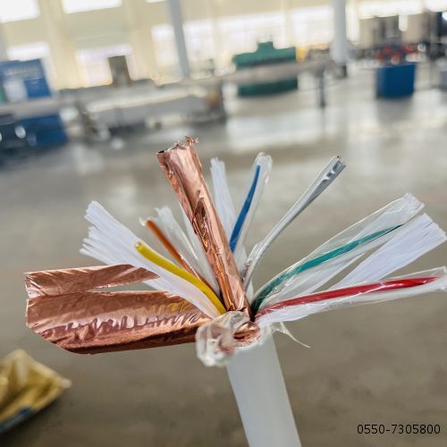 ����max(�й���)���޹�˾����