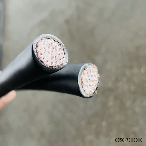 ����max(�й���)���޹�˾����