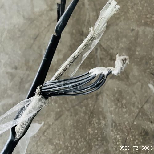 ����max(�й���)���޹�˾����