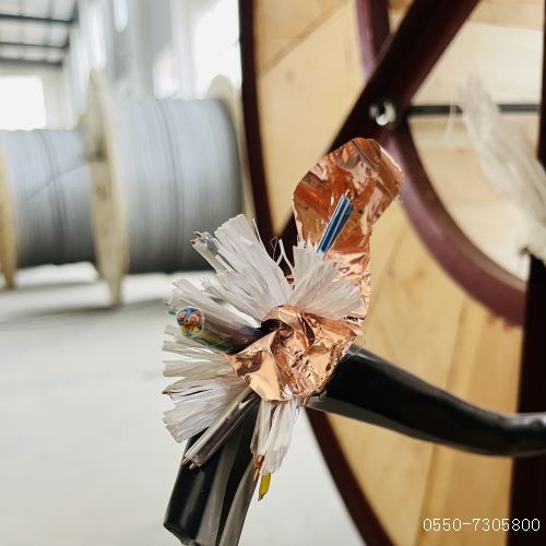 ����max(�й���)���޹�˾����