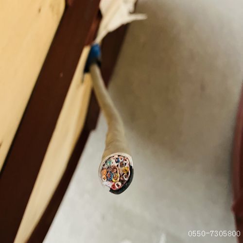 ����max(�й���)���޹�˾����