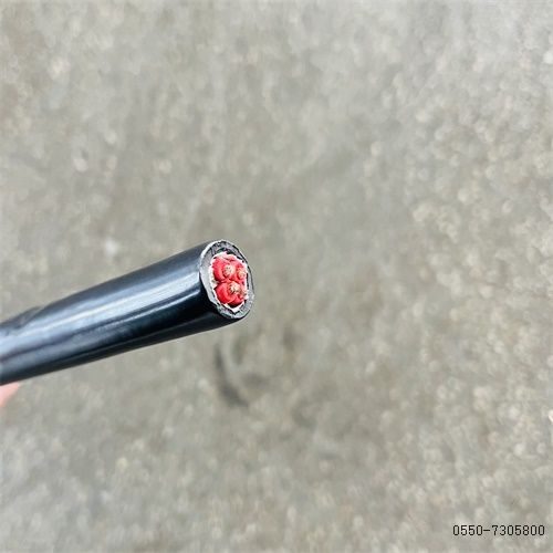 ����max(�й���)���޹�˾����