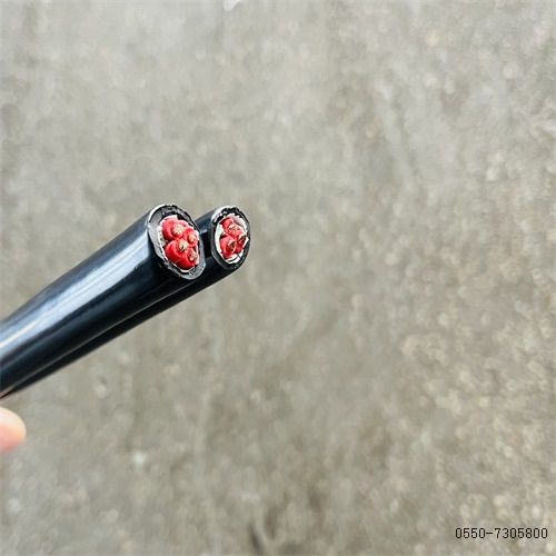 ����max(�й���)���޹�˾����