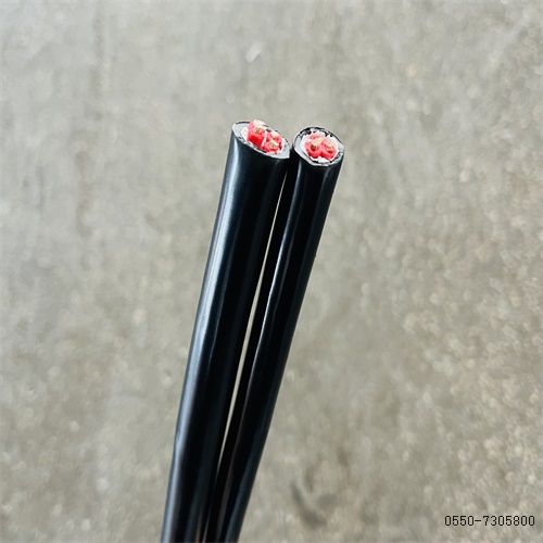 ����max(�й���)���޹�˾����