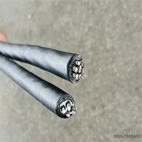 ����max(�й���)���޹�˾����