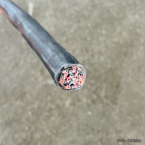 ����max(�й���)���޹�˾����