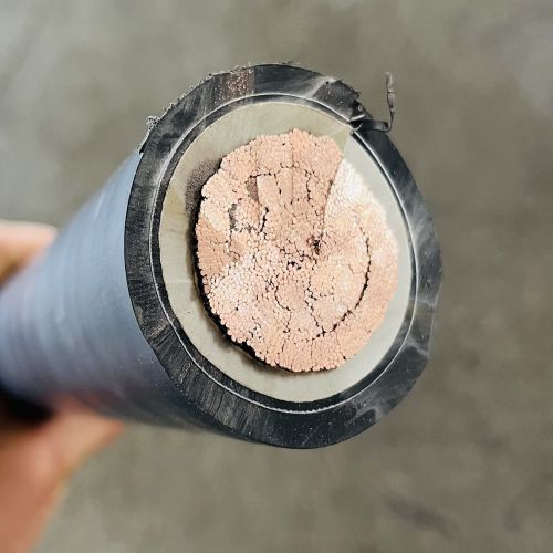 ����max(�й���)���޹�˾����