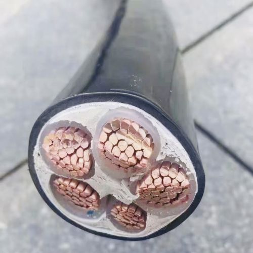 ����max(�й���)���޹�˾����